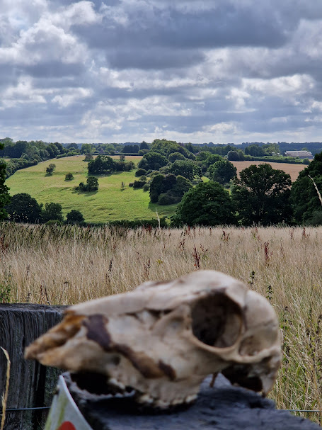 Collingbourne Races